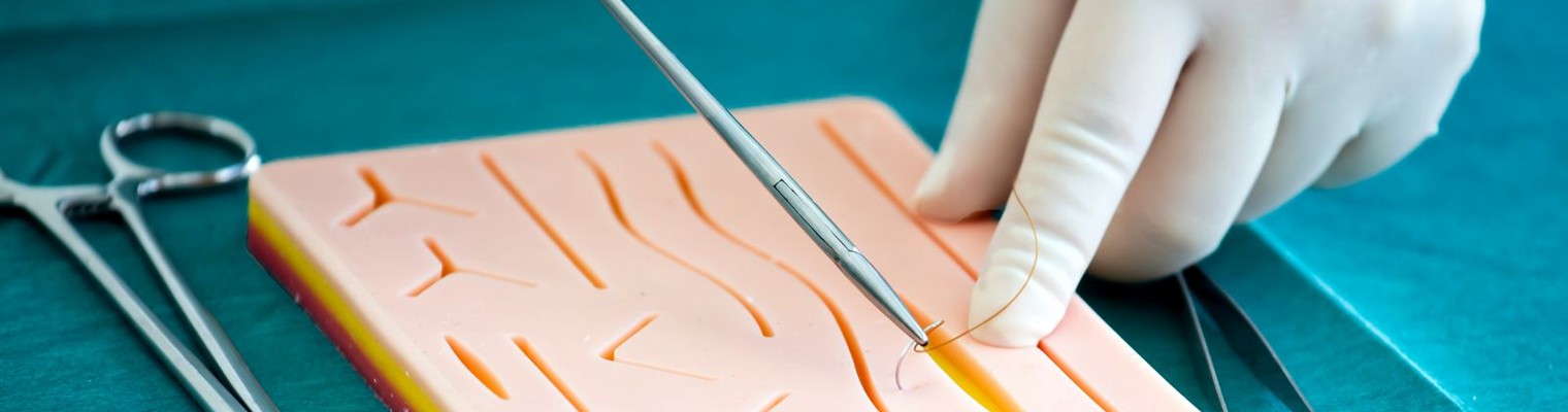 I Curso Básico de Pequena Cirurgia e Suturas