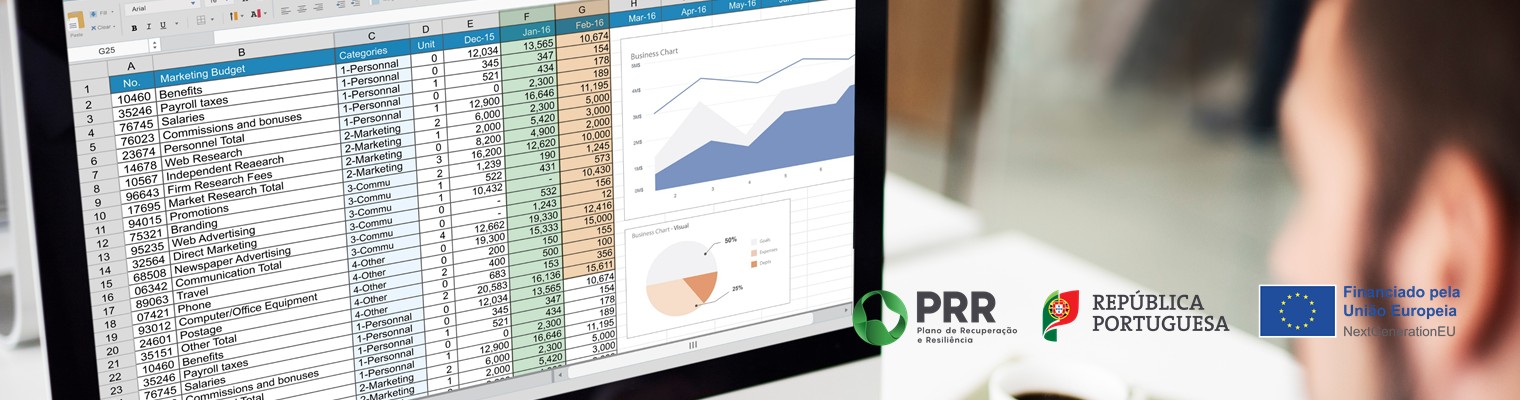 Formação Organização de Dados com Excel 