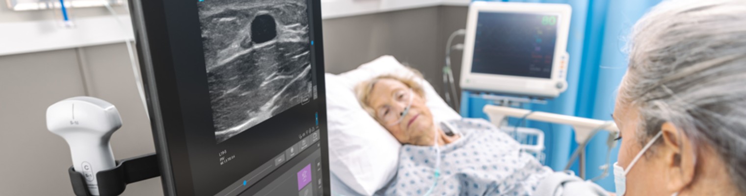 Acessos Venosos Ecoguiados